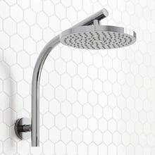 Euro 200mm Curved Gooseneck Shower Arm & Head
